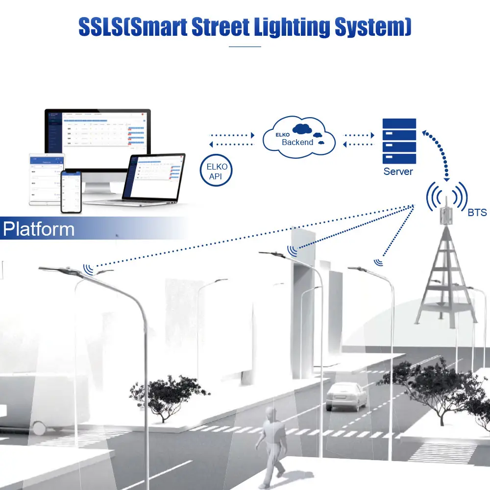 BS-BDX Series Separated Solar Street Light, Split Solar Lamp For IoT LoRa-MESH Solution With SSLS System