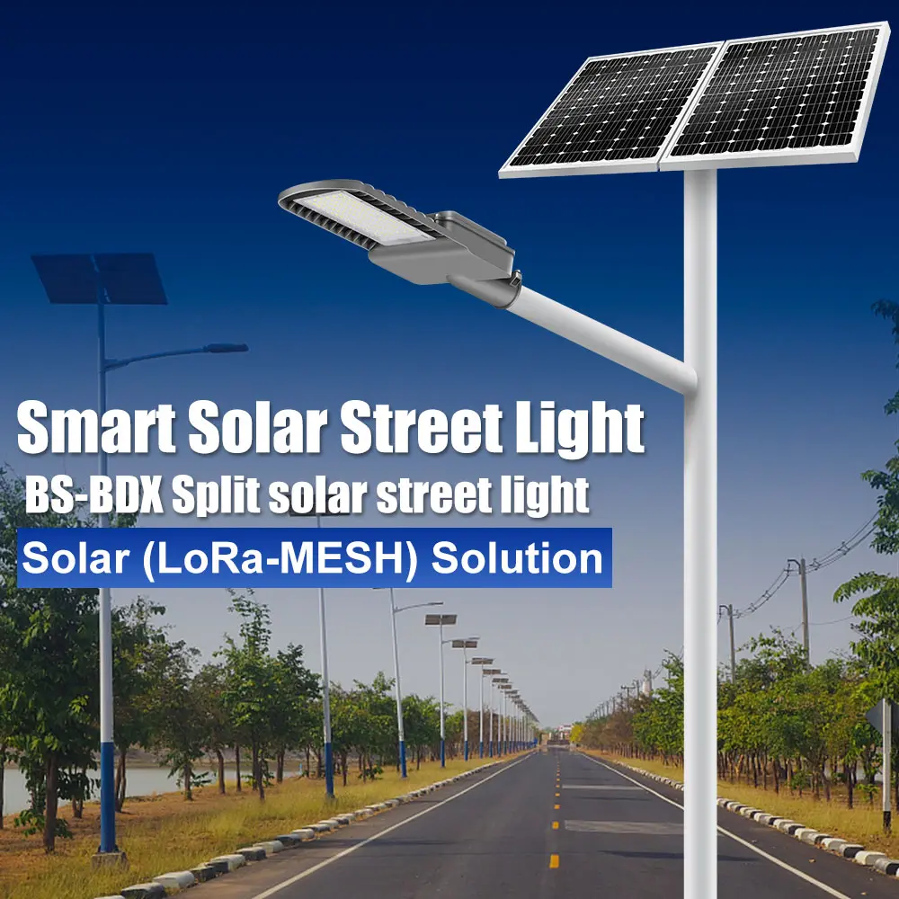 BS-BDX Series Separated Solar Street Light, Split Solar Lamp For IoT LoRa-MESH Solution With SSLS System